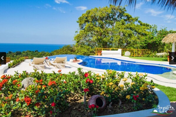 A swimming pool with lounge chairs, surrounded by flowering plants and a view of the ocean.