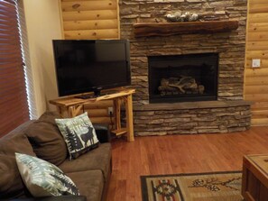 TV, fireplace, DVD player, books