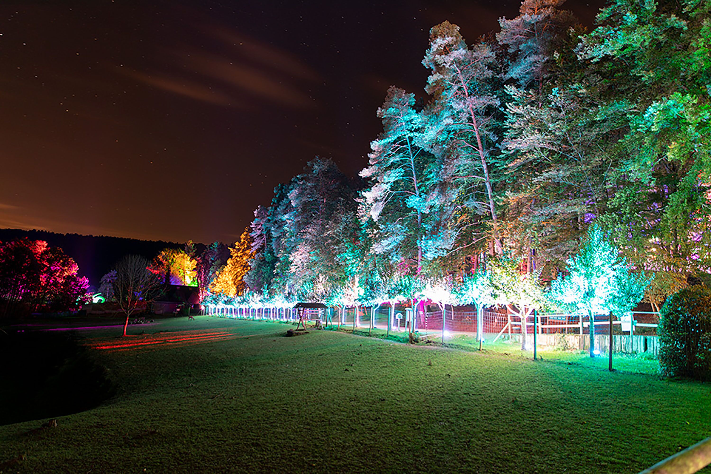Herbstleuchten im Eifelpark / 12.09. - 04.10. täglich 19-22 Uhr Tickets online