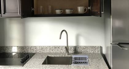 Exquisite, recently renovated studio apartment