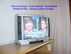 Television