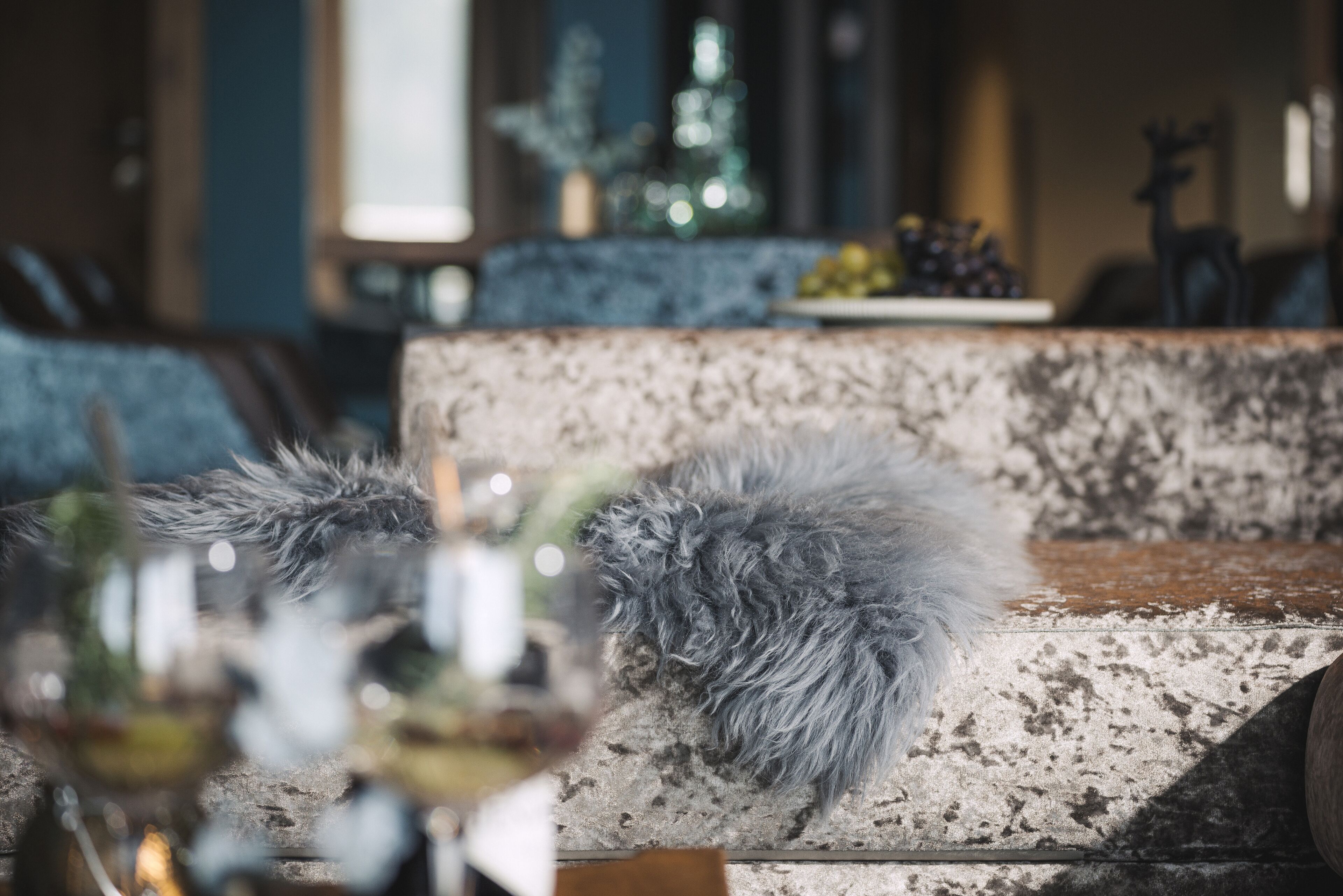 Un perro sobre un banco de piedra con textura en una habitación con fondo desenfocado.