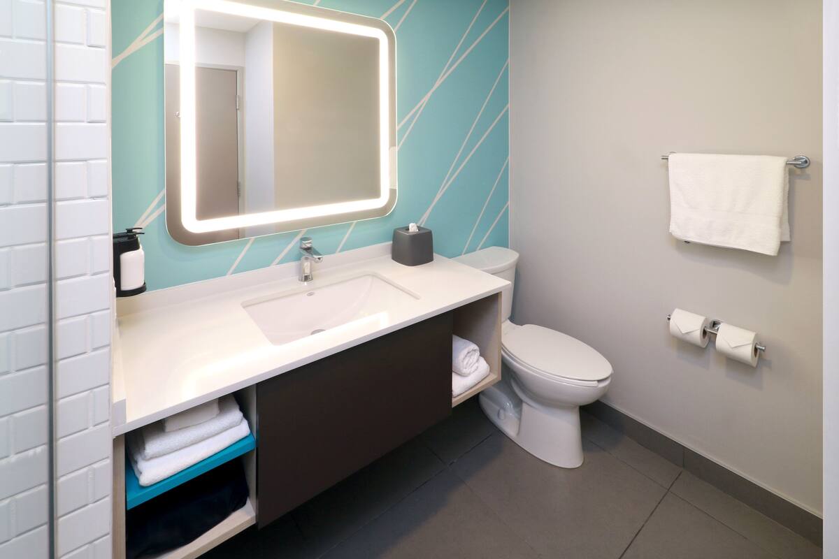 standard room, 1 king bed | bathroom | free toiletries, hair dryer, towels, soap