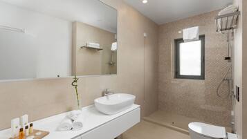 Ducha, secador de pelo, bidet, toallas