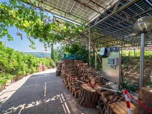 Parco della struttura