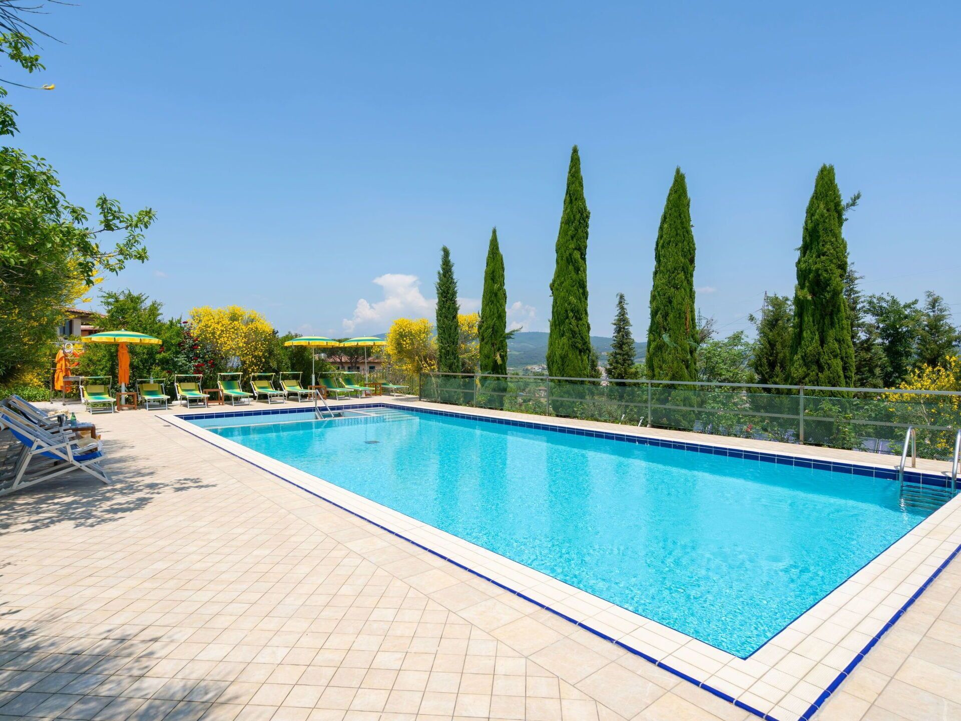 A rectangular swimming pool with a tiled deck, surrounded by lounge chairs and umbrellas, with tall cypress trees in the background.