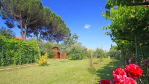 A garden with a small wooden structure, surrounded by lush greenery and flowering plants. - Wonderful  villa with private pool, WIFI, hot tub, A/C, TV, terrace, pets allowed and panoramic ... (Montelupo Fiorentino)