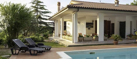 Outdoor pool, sun loungers