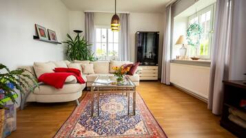 Fernseher, DVD-Player