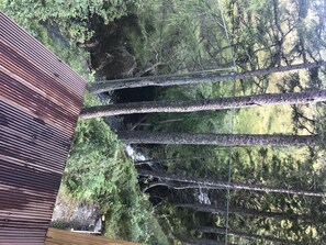 Eine Holzdar Terrasse mit Blick auf ein bewaldetes Gebiet und einen Bach.