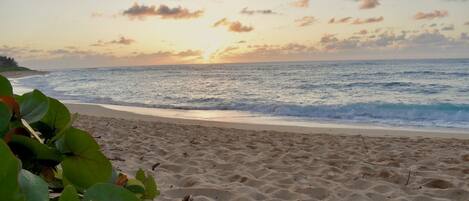 Playa en los alrededores, camastros y toallas de playa