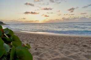 A beach with sand and waves, a sunset, and some greenery in the foreground. - Spacious and clean; 2 min walk to beach; 2 bedroom North Shore Ohana w/AC (Haleiwa)