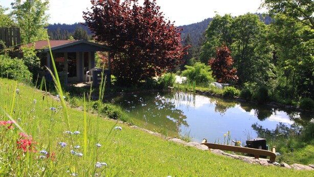 Un entorno tranquilo junto al lago con una casa pequeña, abundante vegetación y una vista despejada del paisaje circundante.