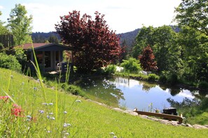 Un cadre paisible au bord d’un lac, avec une petite maison, une végétation luxuriante et une vue dégagée sur le paysage environnant.