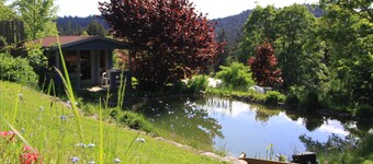 Vacation apartment in "Almlage" directly at the national park