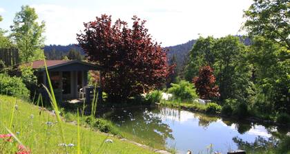 Vacation apartment in "Almlage" directly at the national park