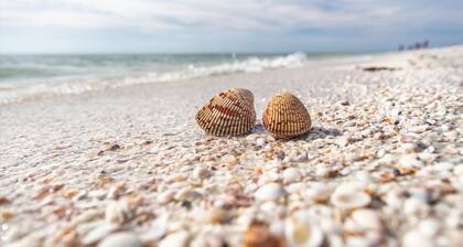 Pet-Friendly Waterfront Home | Steps to Beach/Pool