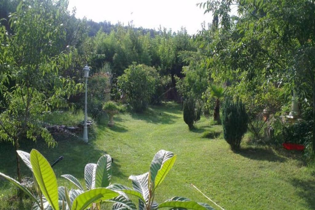 Magnificent villa in a green setting
