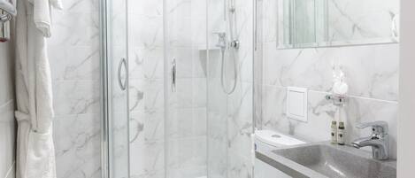A modern bathroom with a glass-enclosed shower, a toilet, a sink, and a mirror.