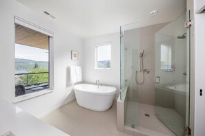 Combined shower/tub, hair dryer, towels, soap