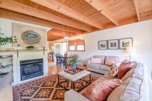 TV, fireplace - Meadow Cabin on Sylamore Creek (Mountain View)