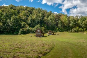Property grounds - Meadow Cabin on Sylamore Creek (Mountain View)