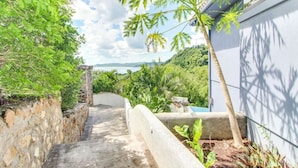 Un sendero de concreto estrecho que lleva a un área de piscina, rodeado de exuberante vegetación y un muro de piedra en un lado.