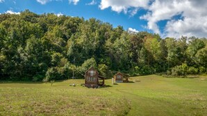 Property grounds - Cabin-ette at the Creek ~ a Tiny Ozark Getaway (Mountain View)