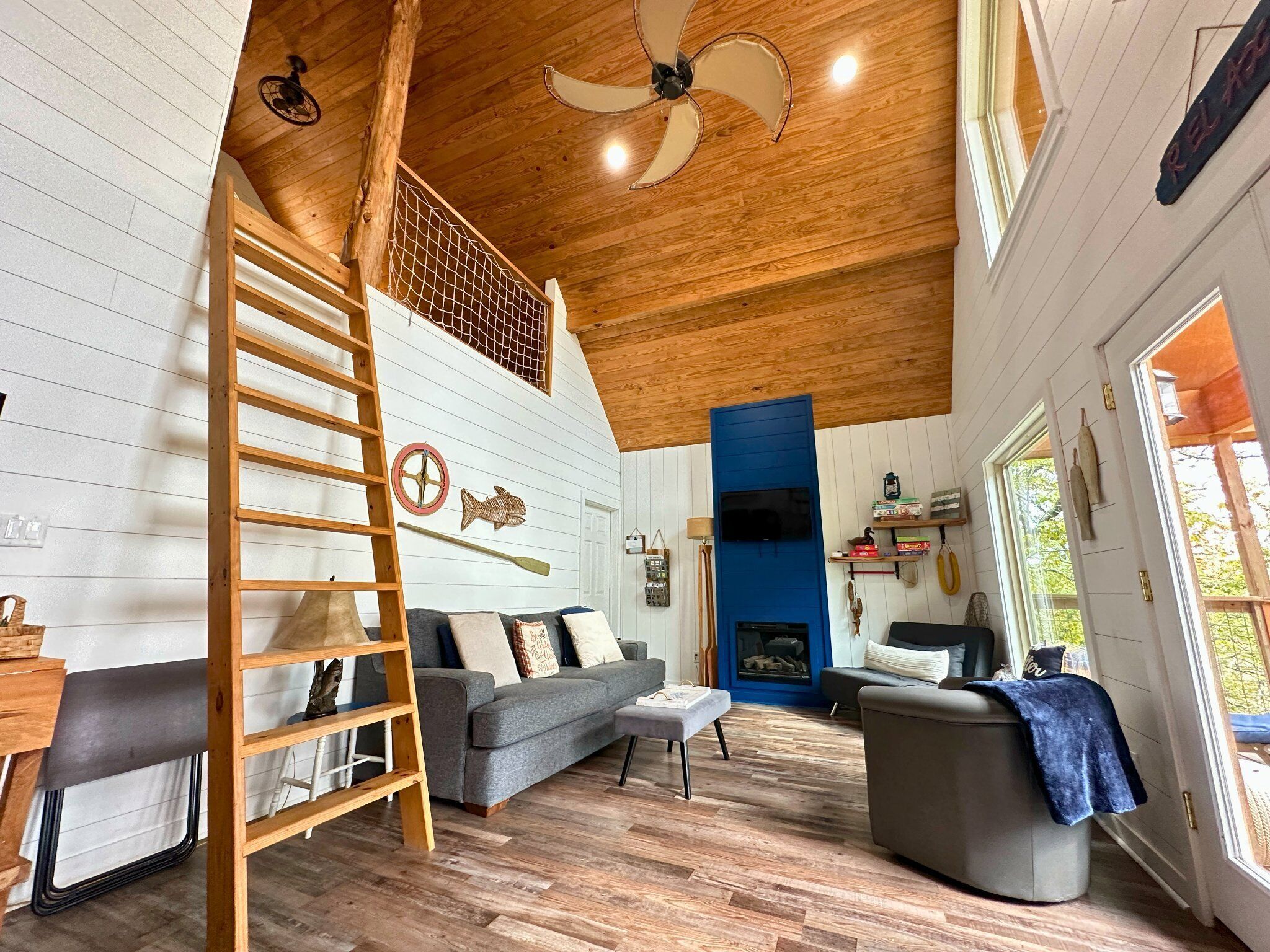 TV, fireplace, DVD player, books