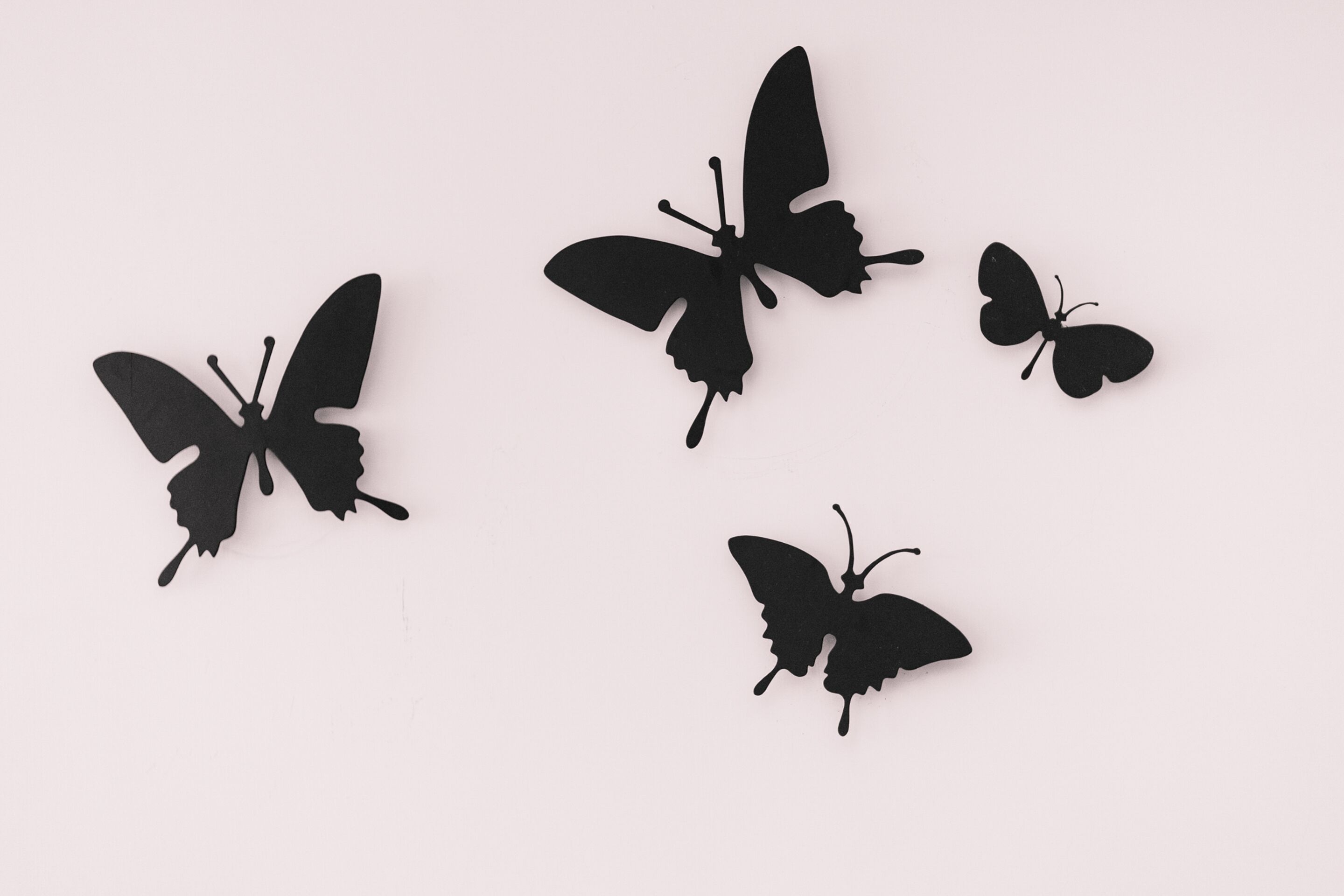 Four black butterfly cutouts on a plain background.