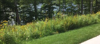 Lilly’s Place is cozy and relaxing every room has it’s own unique style.