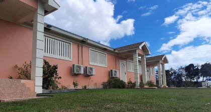 Fishtail Palms Exuma