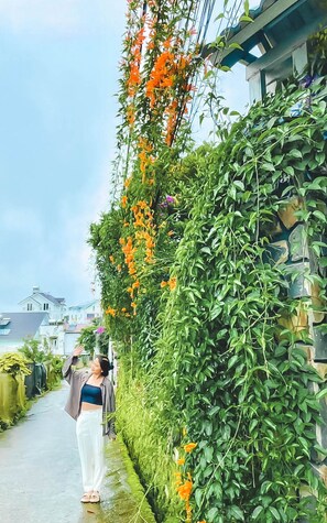 A narrow street with a person standing on the sidewalk. - Homestay Thuy Duong (Da Lat)