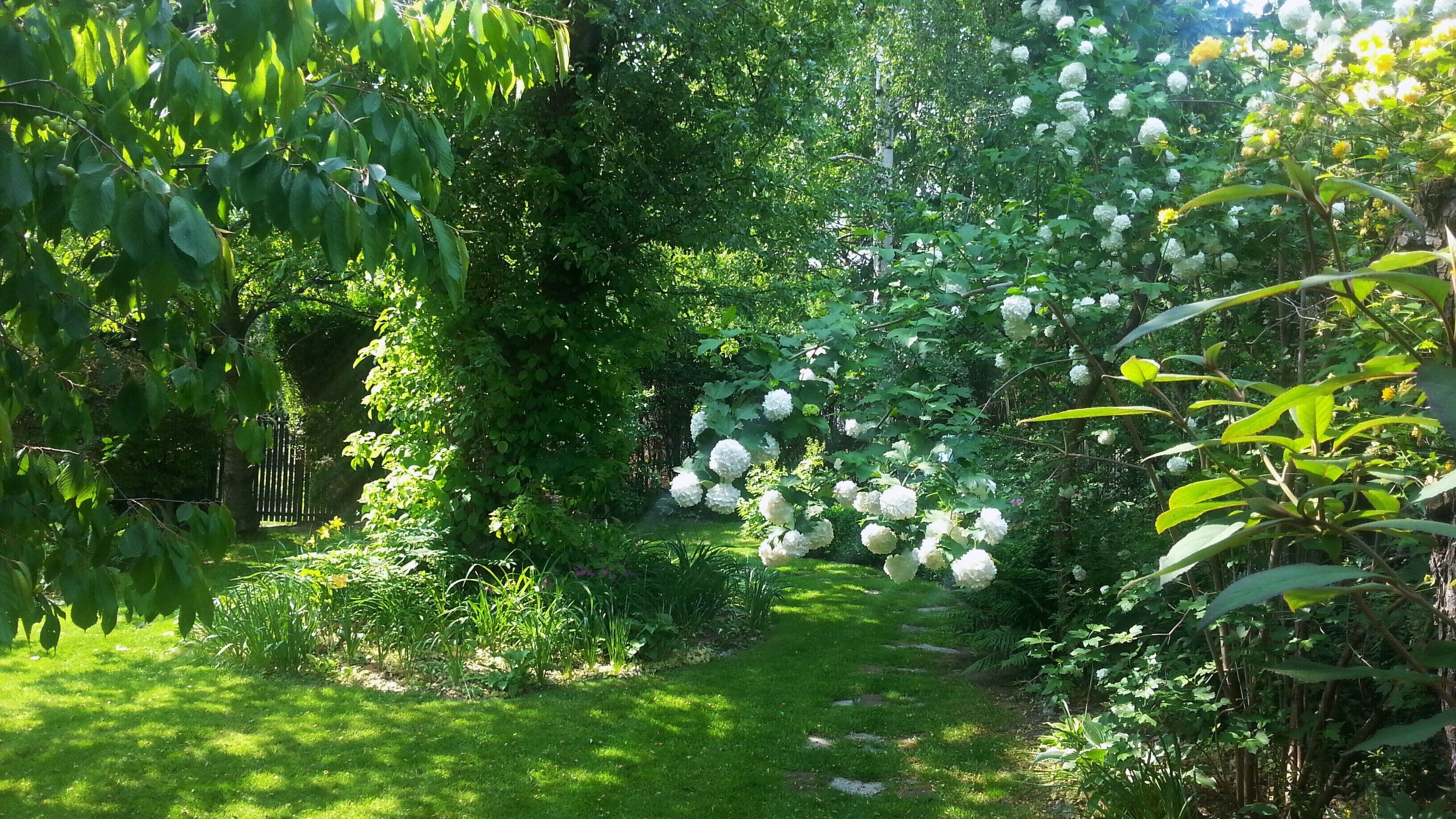 Apartment, 1 Schlafzimmer, Gartenblick | Garten