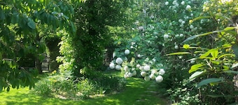 If you Want to Explore Lower Silesia, Sunny Apartment is the Perfect Location