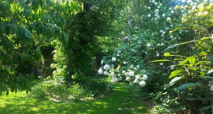 If you Want to Explore Lower Silesia, Sunny Apartment is the Perfect Location