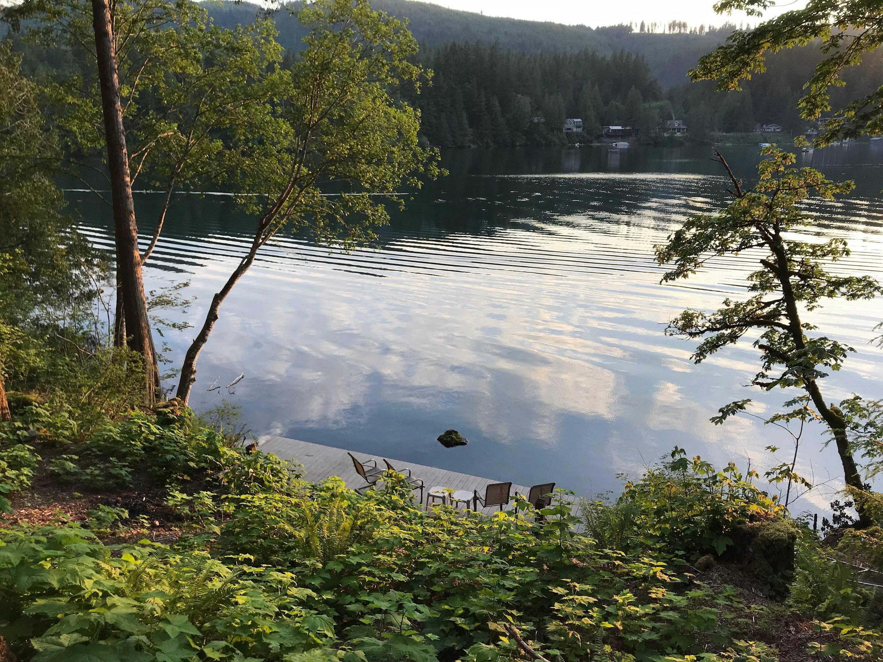 Una vista tranquila sobre un lago, con un muelle de madera que se adentra en el agua, rodeado de exuberante vegetación y árboles.