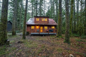 Cabin, 2 Bedrooms, Fireplace | Exterior