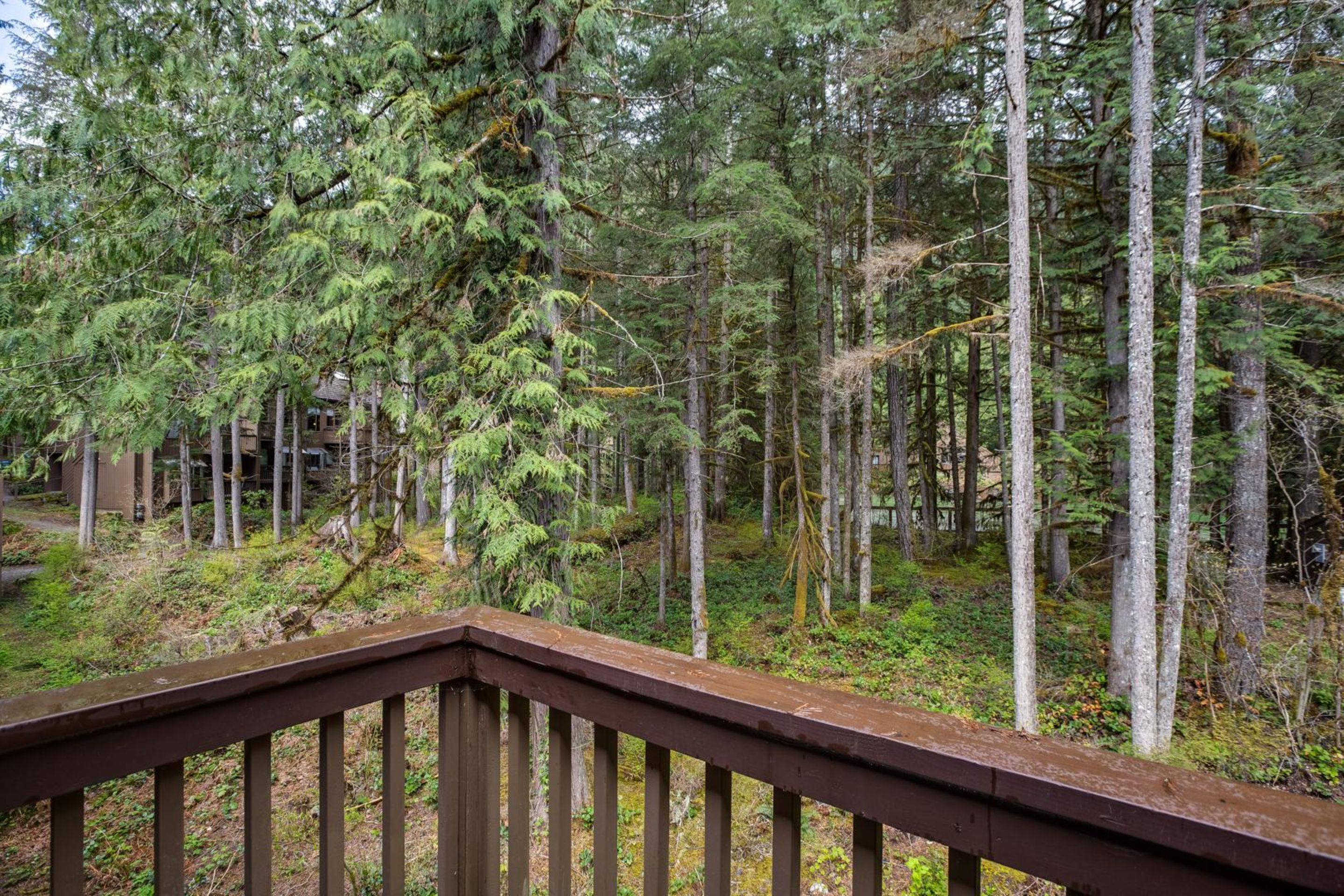 Condo, 2 Bedrooms, Fireplace | Property grounds