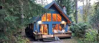 Mt Baker Rim Cabin #53 - A Cozy Cabin With a Open Fire Place and Outdoor hot tub
