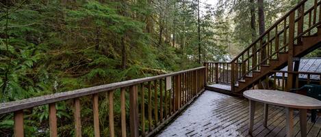 Cabaña, 3 habitaciones, para fumadores, chimenea | Áreas de la propiedad