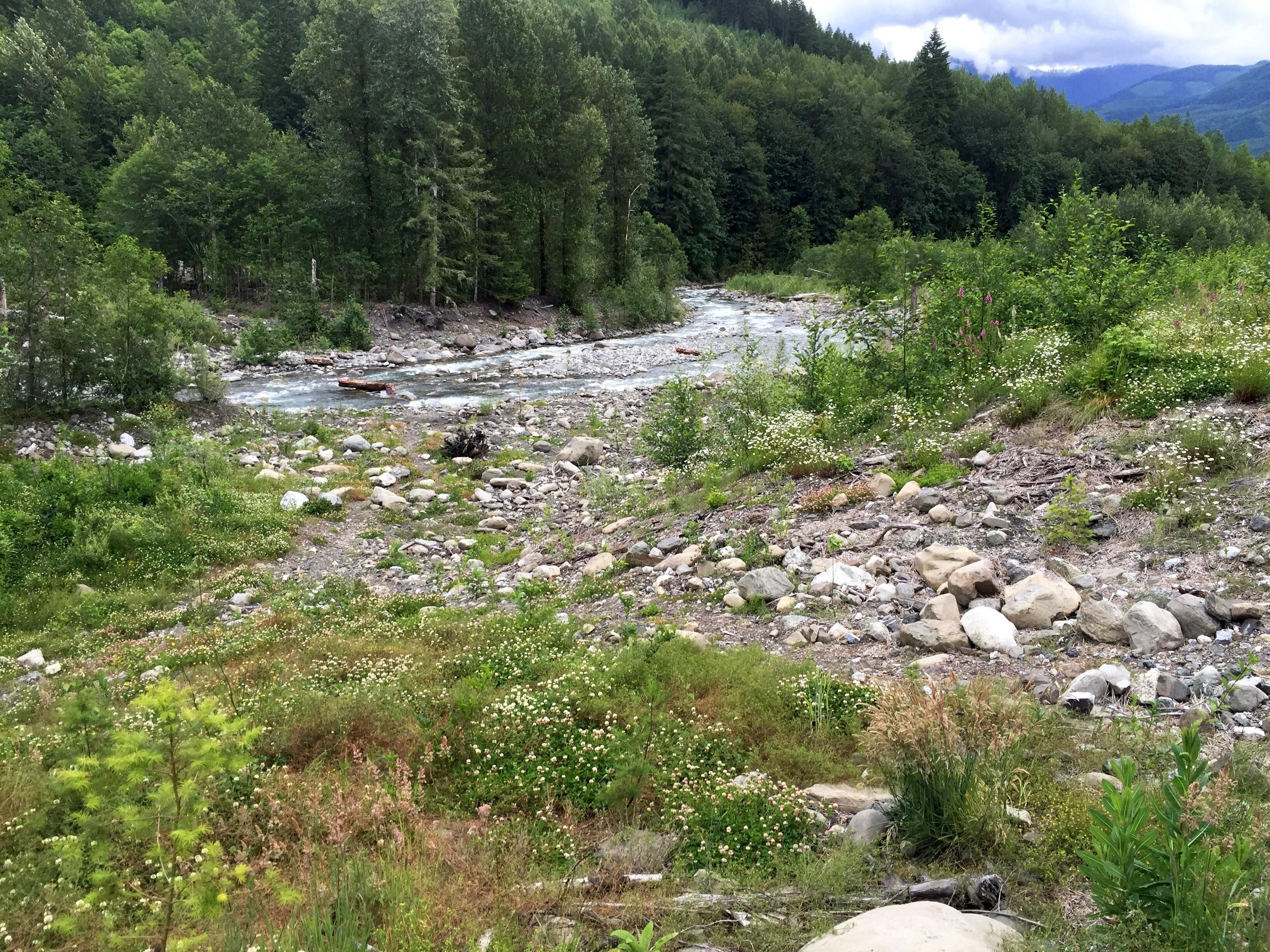 A natural landscape with a river, rocky terrain, and dense forest.