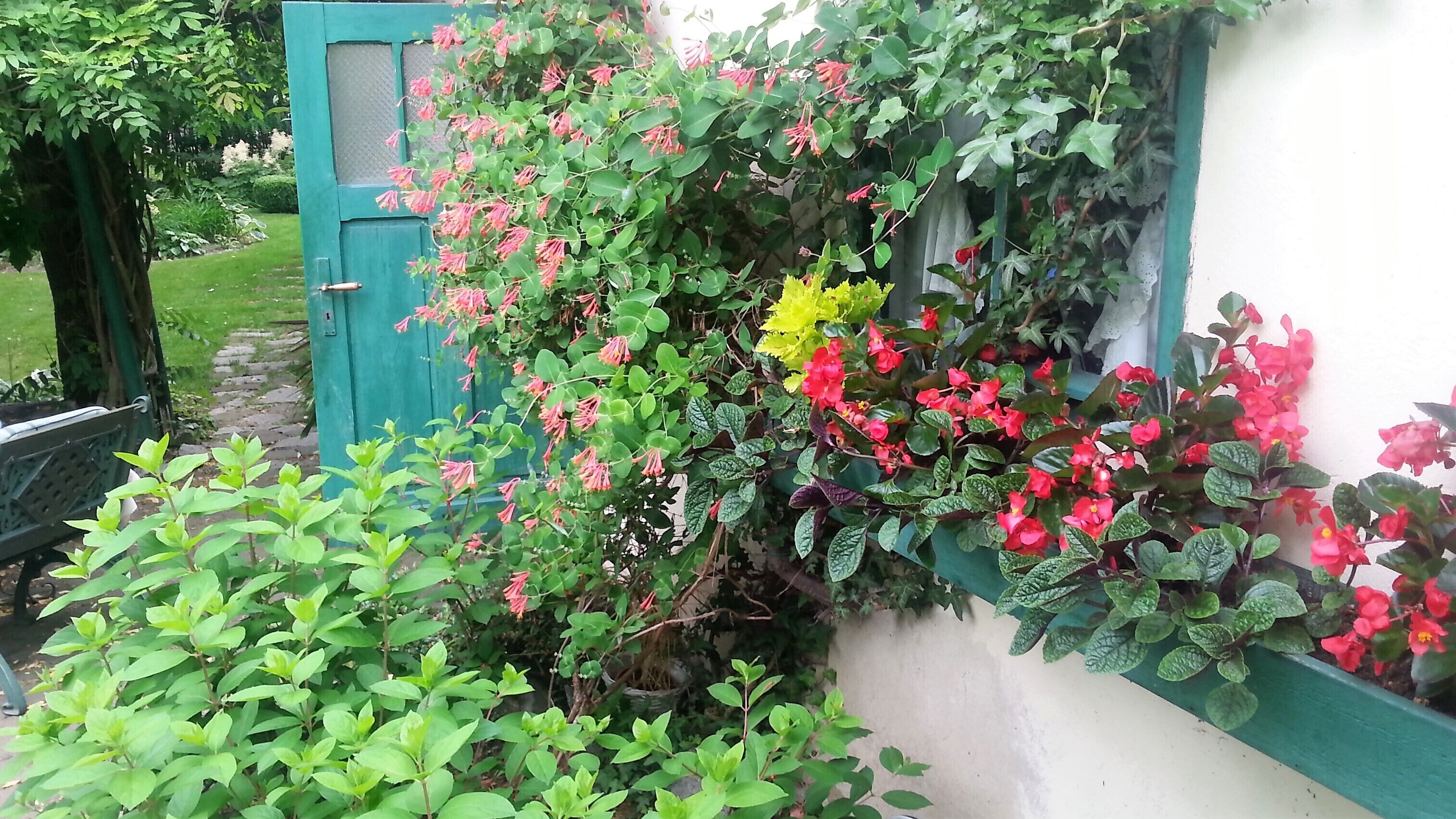 Apartment, 1 Schlafzimmer, Kamin, Gartenblick | Garten