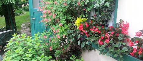 Apartment, 1 Bedroom, Fireplace, Garden View | Garden