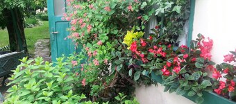 시더 아래 아파트