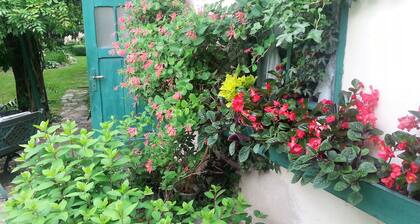 Apartment Under Cedar