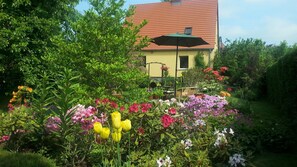 Garden - Apartment Under Cedar (Sobotka)