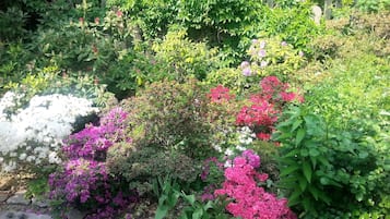 Apartment, 1 Bedroom, Fireplace, Garden View | Garden