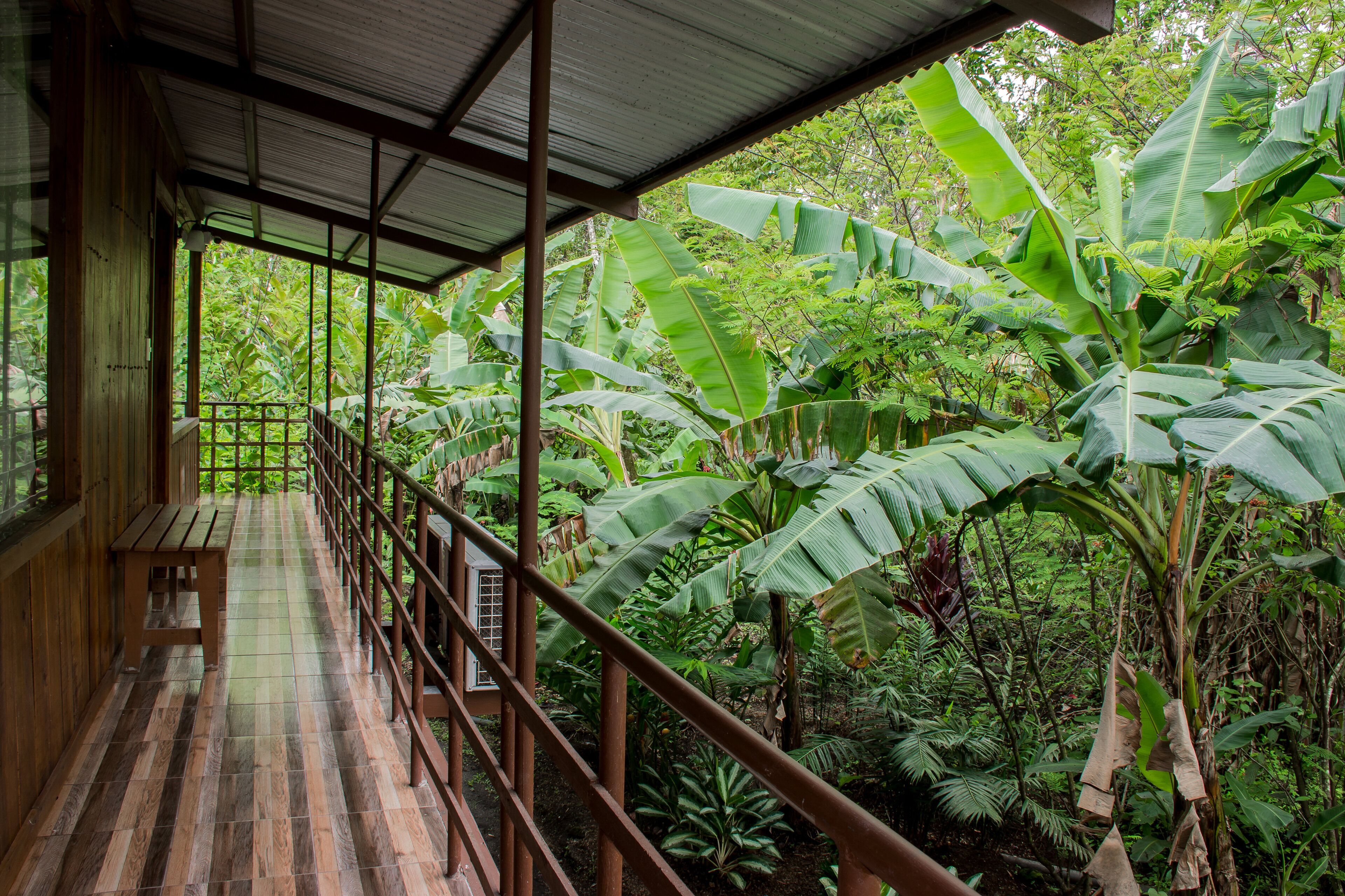 Room, 1 Bedroom, Smoking | Property grounds