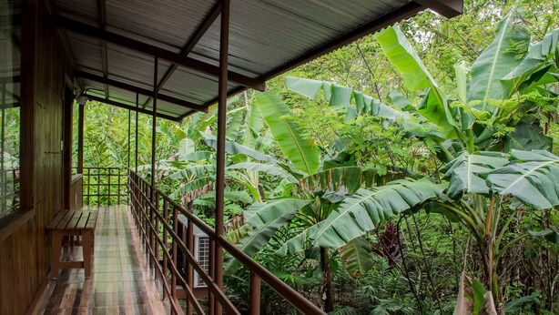 Unclassified image, 1 of 16, button - Room-arenal Xilopalo Room (La Fortuna)